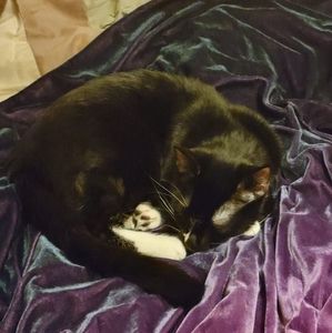 Meet your Posher, Karina